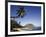 Aragua, Venezuela-null-Framed Photographic Print