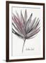 Aralia Leaf-Aimee Wilson-Framed Art Print