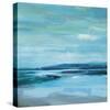 Aran Shore-Paul Duncan-Stretched Canvas