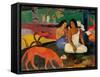 Arara (Jokes)-Paul Gauguin-Framed Stretched Canvas