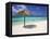 Arashi Beach, Aruba, West Indies, Dutch Caribbean, Central America-Sergio Pitamitz-Framed Stretched Canvas