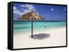 Arashi Beach, Aruba, West Indies, Dutch Caribbean, Central America-Sergio Pitamitz-Framed Stretched Canvas