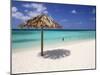 Arashi Beach, Aruba, West Indies, Dutch Caribbean, Central America-Sergio Pitamitz-Mounted Photographic Print