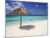 Arashi Beach, Aruba, West Indies, Dutch Caribbean, Central America-Sergio Pitamitz-Mounted Photographic Print