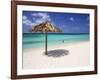 Arashi Beach, Aruba, West Indies, Dutch Caribbean, Central America-Sergio Pitamitz-Framed Photographic Print