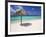 Arashi Beach, Aruba, West Indies, Dutch Caribbean, Central America-Sergio Pitamitz-Framed Photographic Print