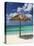Arashi Beach, Aruba, West Indies, Dutch Caribbean, Central America-Sergio Pitamitz-Stretched Canvas