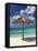 Arashi Beach, Aruba, West Indies, Dutch Caribbean, Central America-Sergio Pitamitz-Framed Stretched Canvas