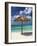 Arashi Beach, Aruba, West Indies, Dutch Caribbean, Central America-Sergio Pitamitz-Framed Photographic Print