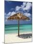 Arashi Beach, Aruba, West Indies, Dutch Caribbean, Central America-Sergio Pitamitz-Mounted Photographic Print