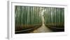 Arashiyama bamboo forest, Kyoto Prefecture, Kinki Region, Honshu, Japan-Panoramic Images-Framed Photographic Print