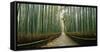 Arashiyama bamboo forest, Kyoto Prefecture, Kinki Region, Honshu, Japan-Panoramic Images-Framed Stretched Canvas