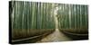 Arashiyama bamboo forest, Kyoto Prefecture, Kinki Region, Honshu, Japan-Panoramic Images-Stretched Canvas