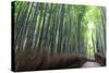 Arashiyama Bamboo Grove in Summer, Arashiyama, Western Kyoto, Japan, Asia-Eleanor Scriven-Stretched Canvas