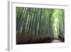 Arashiyama Bamboo Grove in Summer, Arashiyama, Western Kyoto, Japan, Asia-Eleanor Scriven-Framed Photographic Print