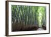 Arashiyama Bamboo Grove in Summer, Arashiyama, Western Kyoto, Japan, Asia-Eleanor Scriven-Framed Photographic Print