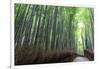 Arashiyama Bamboo Grove in Summer, Arashiyama, Western Kyoto, Japan, Asia-Eleanor Scriven-Framed Photographic Print