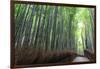 Arashiyama Bamboo Grove in Summer, Arashiyama, Western Kyoto, Japan, Asia-Eleanor Scriven-Framed Photographic Print