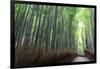 Arashiyama Bamboo Grove in Summer, Arashiyama, Western Kyoto, Japan, Asia-Eleanor Scriven-Framed Photographic Print