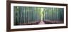 Arashiyama Bamboo Grove, Kyoto, Japan-Simonbyrne-Framed Premium Photographic Print