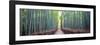 Arashiyama Bamboo Grove, Kyoto, Japan-Simonbyrne-Framed Premium Photographic Print