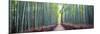 Arashiyama Bamboo Grove, Kyoto, Japan-Simonbyrne-Mounted Premium Photographic Print