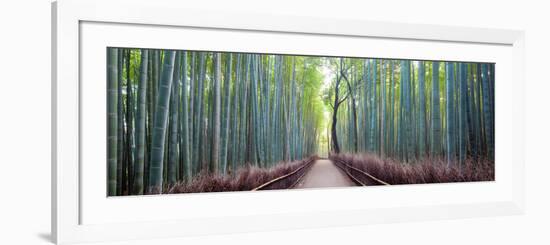 Arashiyama Bamboo Grove, Kyoto, Japan-Simonbyrne-Framed Photographic Print