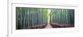 Arashiyama Bamboo Grove, Kyoto, Japan-Simonbyrne-Framed Photographic Print