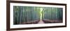 Arashiyama Bamboo Grove, Kyoto, Japan-Simonbyrne-Framed Photographic Print