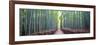 Arashiyama Bamboo Grove, Kyoto, Japan-Simonbyrne-Framed Photographic Print