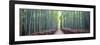 Arashiyama Bamboo Grove, Kyoto, Japan-Simonbyrne-Framed Photographic Print