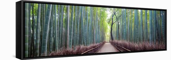 Arashiyama Bamboo Grove, Kyoto, Japan-Simonbyrne-Framed Stretched Canvas