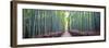 Arashiyama Bamboo Grove, Kyoto, Japan-Simonbyrne-Framed Photographic Print