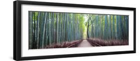 Arashiyama Bamboo Grove, Kyoto, Japan-Simonbyrne-Framed Photographic Print