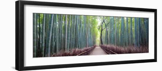 Arashiyama Bamboo Grove, Kyoto, Japan-Simonbyrne-Framed Photographic Print