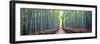 Arashiyama Bamboo Grove, Kyoto, Japan-Simonbyrne-Framed Photographic Print