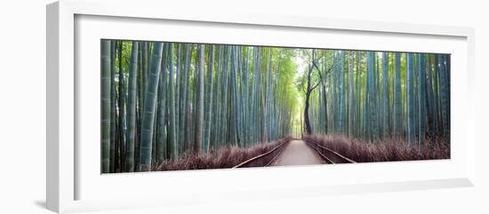 Arashiyama Bamboo Grove, Kyoto, Japan-Simonbyrne-Framed Photographic Print