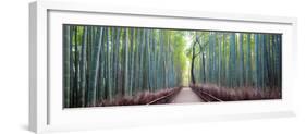 Arashiyama Bamboo Grove, Kyoto, Japan-Simonbyrne-Framed Photographic Print