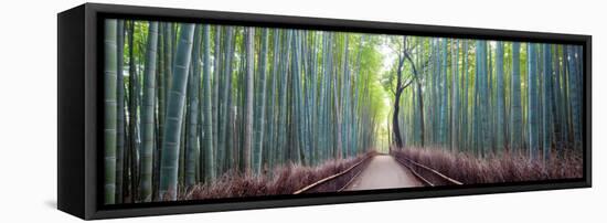 Arashiyama Bamboo Grove, Kyoto, Japan-Simonbyrne-Framed Stretched Canvas