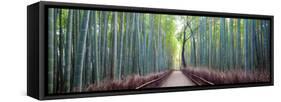 Arashiyama Bamboo Grove, Kyoto, Japan-Simonbyrne-Framed Stretched Canvas