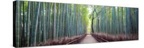 Arashiyama Bamboo Grove, Kyoto, Japan-Simonbyrne-Stretched Canvas