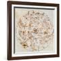 Aratus's Constellations-Science Source-Framed Giclee Print