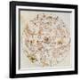 Aratus's Constellations-Science Source-Framed Giclee Print