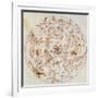 Aratus's Constellations-Science Source-Framed Giclee Print