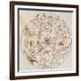 Aratus's Constellations-Science Source-Framed Giclee Print