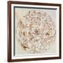 Aratus's Constellations-Science Source-Framed Giclee Print