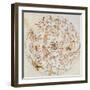 Aratus's Constellations-Science Source-Framed Giclee Print