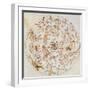 Aratus's Constellations-Science Source-Framed Giclee Print