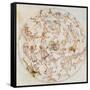 Aratus's Constellations-Science Source-Framed Stretched Canvas