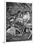 Araucanian Woman Weaving, Chile, 1922-null-Framed Giclee Print